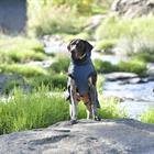 Hundemantel Explorer 220 g WeatherBeeta Dunkelblau
