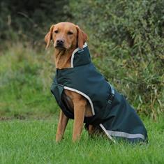 Hundemantel Green Line Bucas Dunkelgrün
