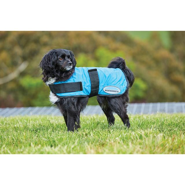 Hundemantel Therapy-Tec Cooling WeatherBeeta Mittelblau