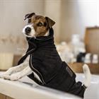 Hundemantel Towel Kentucky Schwarz