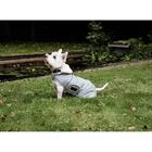 Hundemantel Waterproof 160 g Dackel Kentucky Hellblau
