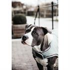 Hundemantel Waterproof 160 g Dackel Kentucky Hellblau