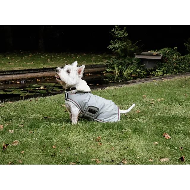 Hundemantel Waterproof 160 g Dackel Kentucky Hellblau