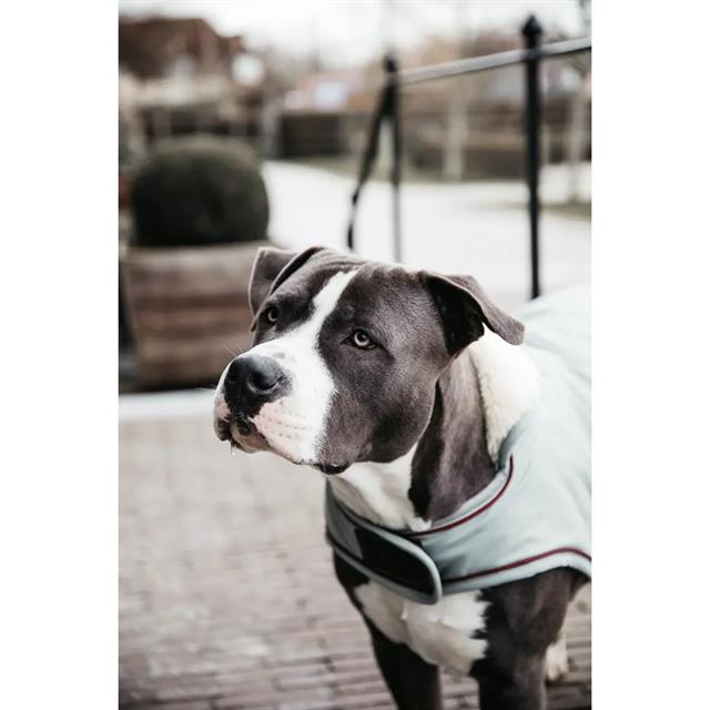 Hundemantel Waterproof 160 g Dackel Kentucky Hellblau