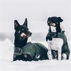 Hundemantel Waterproof Kentucky Grün
