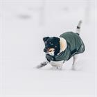 Hundemantel Waterproof Kentucky Grün