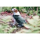 Hundemantel Waterproof Kentucky Grün