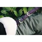 Hundemantel Waterproof Kentucky Grün