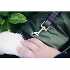 Hundemantel Waterproof Kentucky Grün