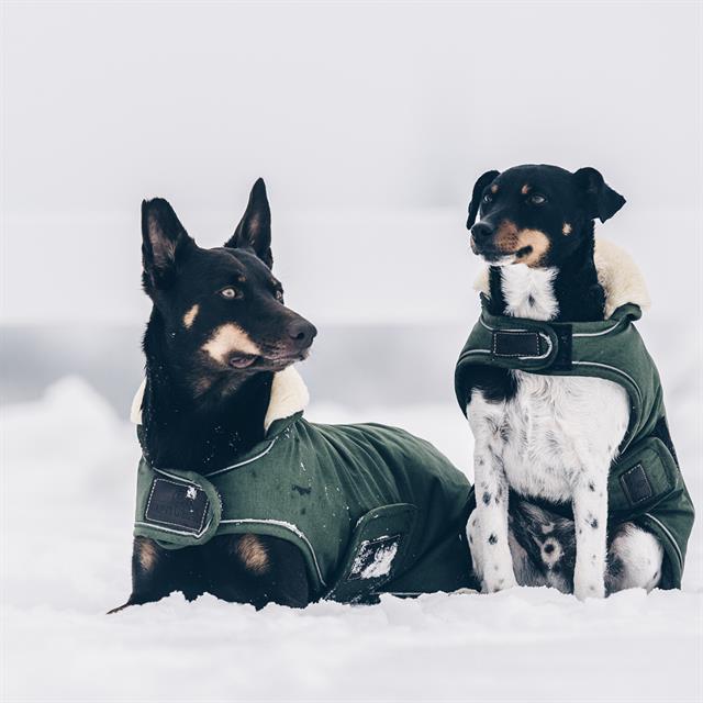 Hundemantel Waterproof Kentucky Grün