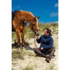 Jacke 3-in-1 Herren Dy'on Dunkelblau