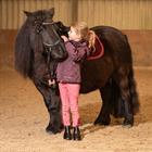 Jacke LouLou Tolga Kids Harry's Horse Dunkellila