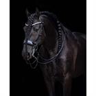Kandare FayPerform Shine PresTeq Schwarz