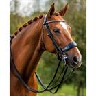 Kandare FayPerform Shine PresTeq Schwarz