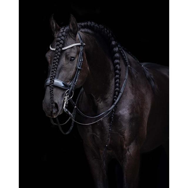 Kandare FayPerform Shine PresTeq Schwarz