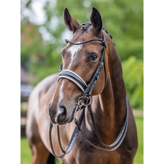 Kandare Kudos LeMieux Schwarz-Weiß