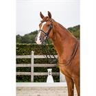 Kandare mit breitem Nasenriemen Lackleder Weiß Unterlegt Dressage Collection Dy'on Schwarz