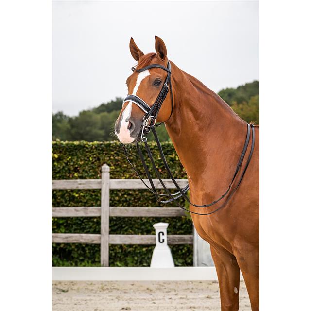 Kandare mit breitem Nasenriemen Lackleder Weiß Unterlegt Dressage Collection Dy'on Schwarz
