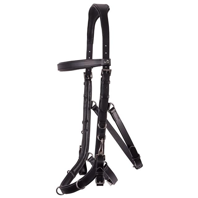 Kappzaum Cavesson Anatomic Harry's Horse Schwarz