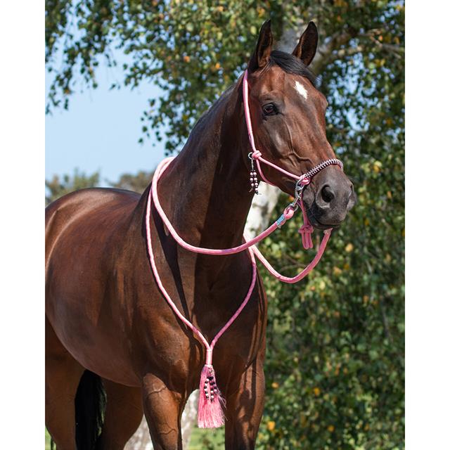 Knotenhalfter Combi Liberty QHP Rosa