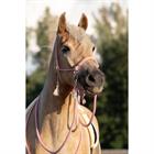 Knotenhalfterset FHFanna Free Horse Rosa-Beige