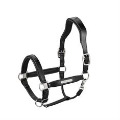 Lederhalfter Stallion Eskadron Schwarz