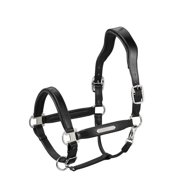 Lederhalfter Stallion Eskadron Schwarz