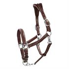 Lederhalfter Working Collection Dy'on Braun