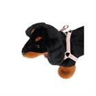 Leine Toy Dog LeMieux Rosa