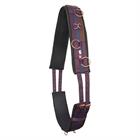 Longiergurt IRHDeluxe Extra Imperial Riding Rot