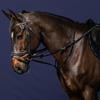 Martingal Full Howlett Working By Dy'on Schwarz