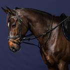 Martingal Full Howlett Working By Dy'on Schwarz