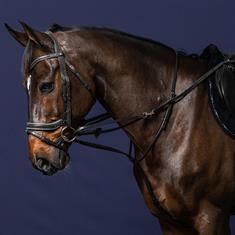 Martingal Full Howlett Working By Dy'on Schwarz