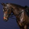 Martingal Full Howlett Working By Dy'on Schwarz