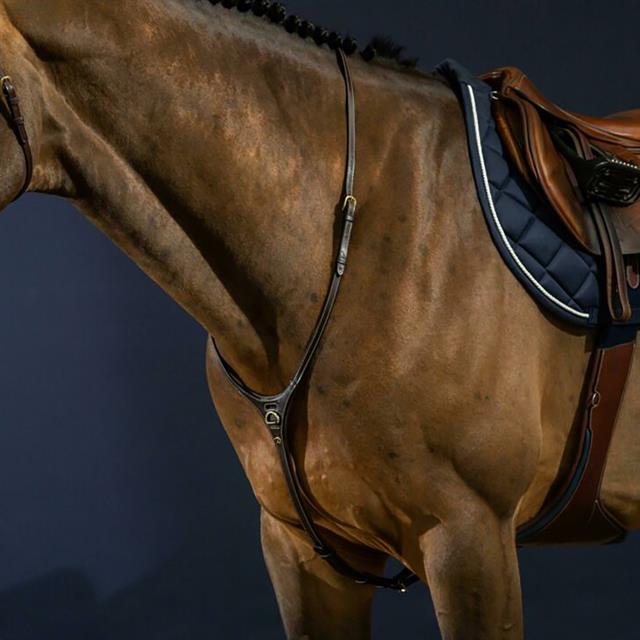 Martingal Yoke D Collection by Dy'on Braun