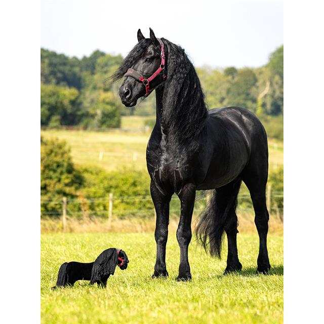 Mini Toy Pony Spike LeMieux Schwarz