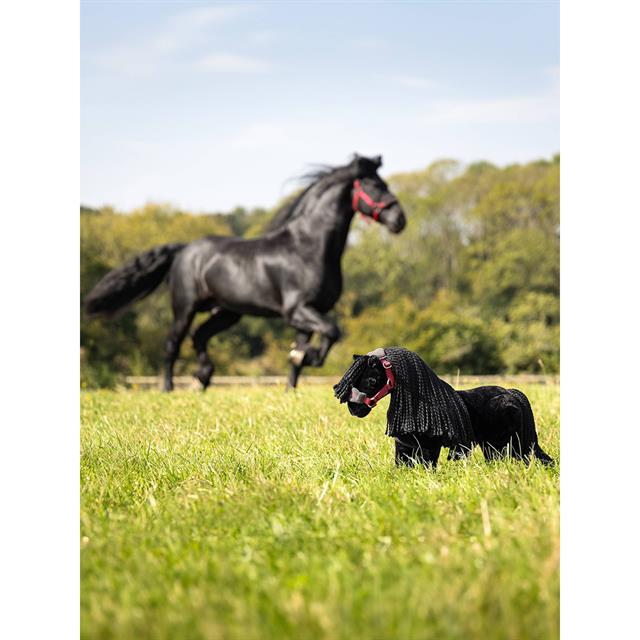 Mini Toy Pony Spike LeMieux Schwarz