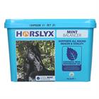 Minze Horslyx Sonstige