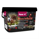 MuscleBuild Pavo Sonstige