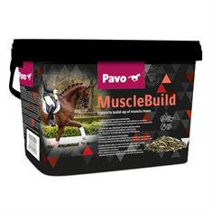 MuscleBuild Pavo