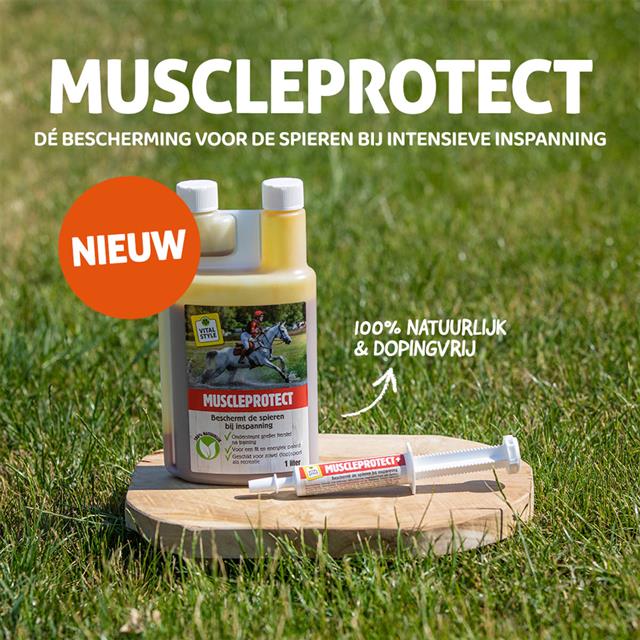 MuscleProtect+ VITALstyle Sonstige
