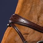 Nasenriemen Anatomic Flash New English Collection Dy'on Braun