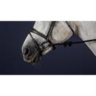 Nasenriemen Anatomic Flash New English Collection Dy'on Schwarz