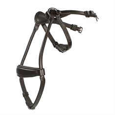 Nasenriemen Aquila Horsegear Braun