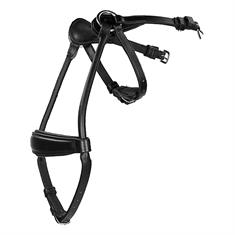 Nasenriemen Aquila Horsegear Schwarz
