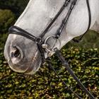 Nasenriemen aus Mattleder Dressage Collection Dy'on Schwarz
