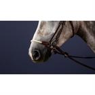 Nasenriemen Lage Rope New English Collection Dy'on Braun