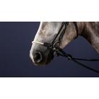 Nasenriemen Lage Rope New English Collection Dy'on Schwarz