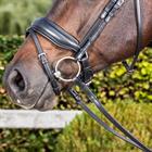 Nasenriemen Matte Large Dressage Collection Dy'on Schwarz