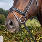 Nasenriemen Matte Medium Dressage Collection Flat Leather Dy'on Schwarz